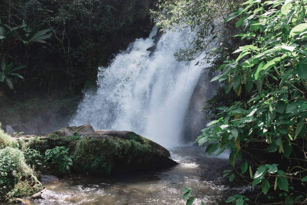 istock Pha Dok Siew Waterfall, Doi Inthanon National Park, Thailand 856862612