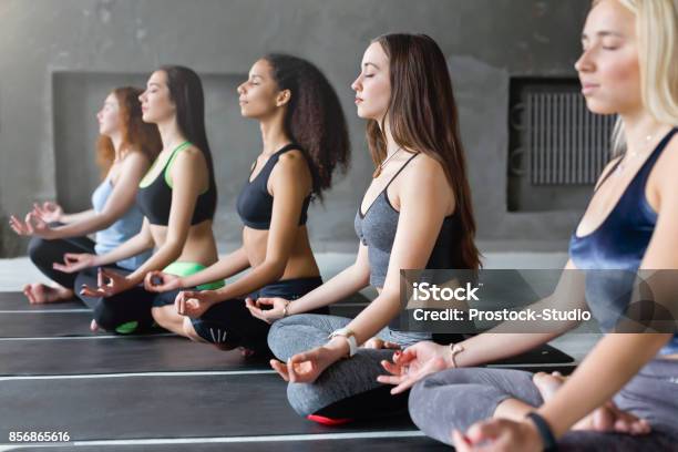 Young Women In Yoga Class Relax Meditation Pose Stock Photo - Download Image Now - Yoga Class, Dark, Meditating