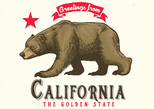 vector of greeting from california with brown bear