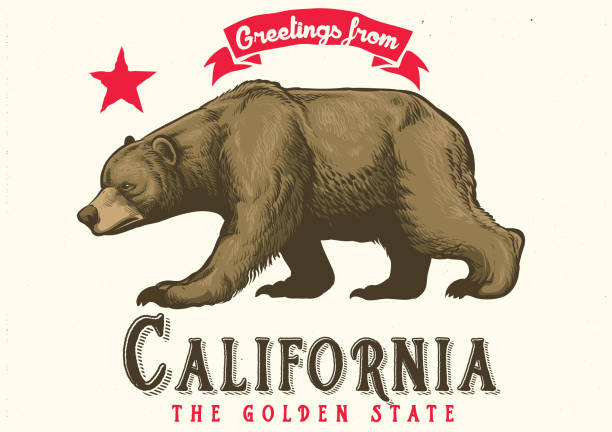 greeting from california with brown bear vector of greeting from california with brown bear governor stock illustrations