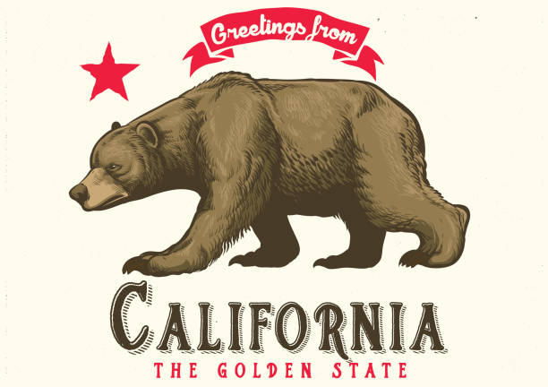 greeting from california with brown bear vector of greeting from california with brown bear san francisco flag stock illustrations