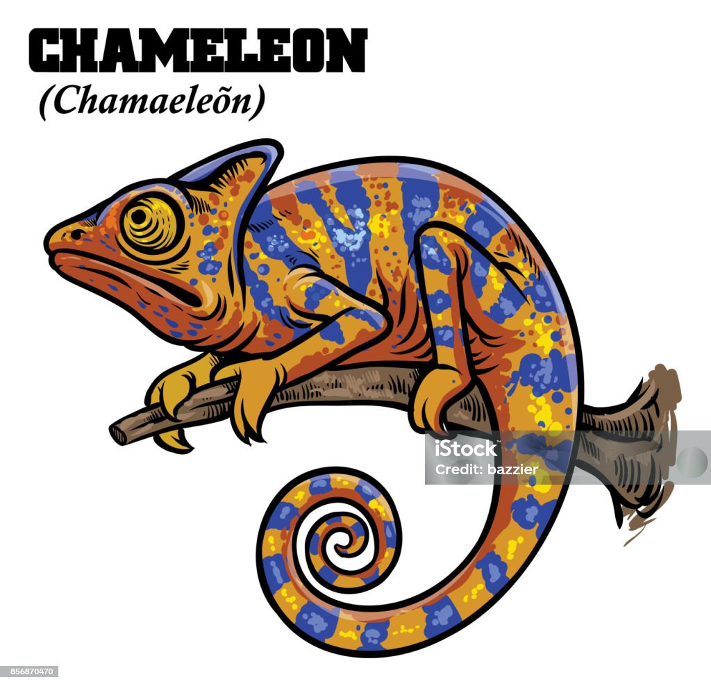 Chameleon In De Hand Tekenen Stijl Stockvectorkunst En Meer Beelden Van  Kameleon - Kameleon, Staart, Tekening - Istock