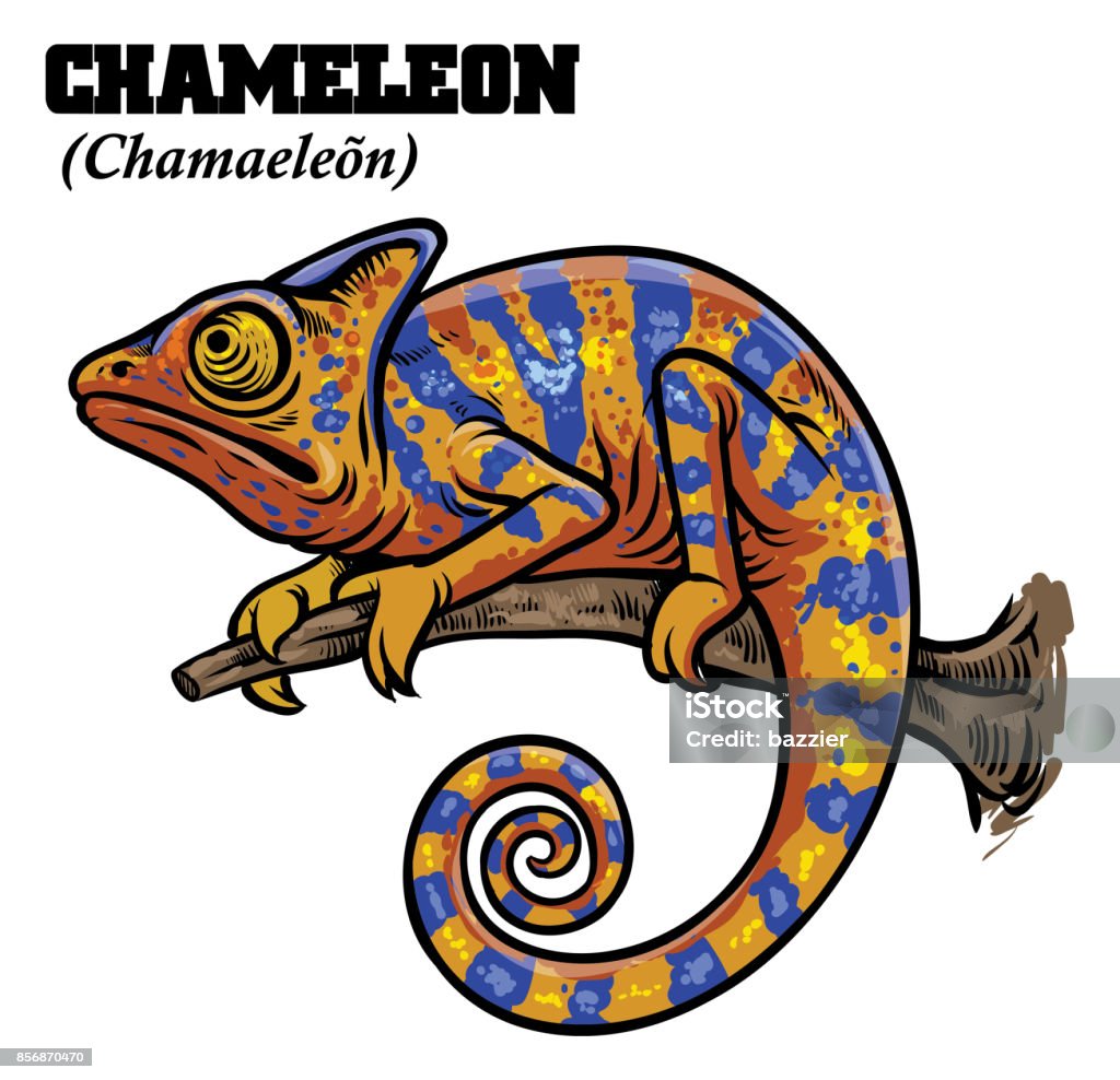 Chameleon In De Hand Tekenen Stijl Stockvectorkunst En Meer Beelden Van Kameleon - Kameleon, Staart, Tekening - Istock