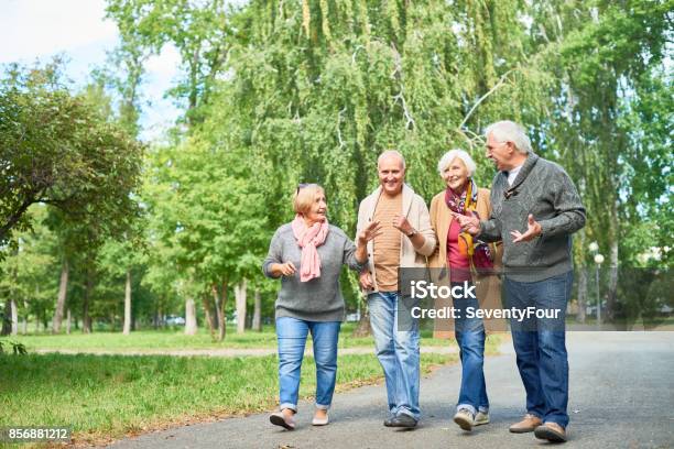 Pleasant Walk At Park Stock Photo - Download Image Now - Senior Adult, Walking, Friendship