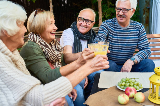 istock Outdoor Party for Senior Friends 856881274
