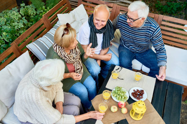 istock Backyard Party of Senior Friends 856881306
