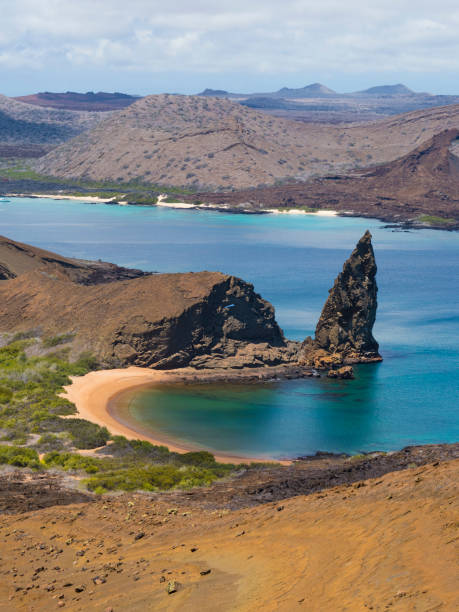 istock Genovesa - Galapagos Islands, Ecuador 856884990