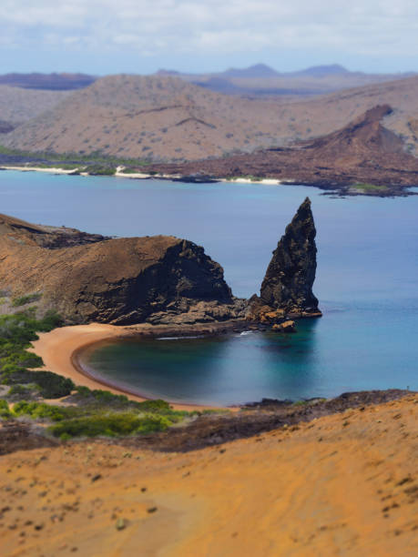 istock Genovesa - Galapagos Islands, Ecuador 856885246