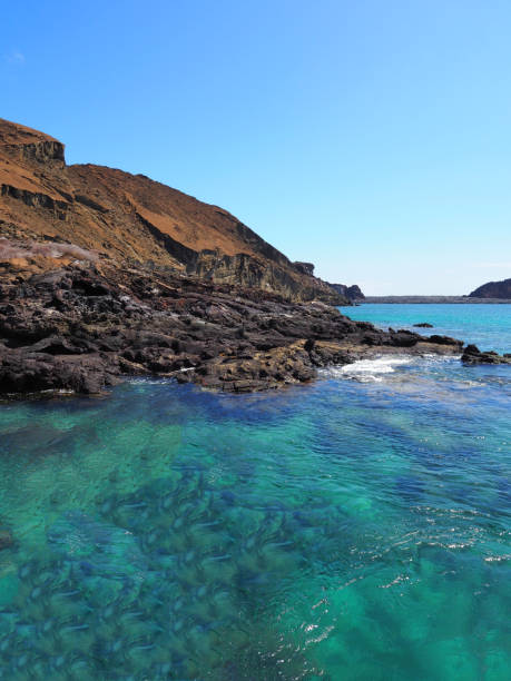 istock Genovesa - Galapagos Islands, Ecuador 856885724