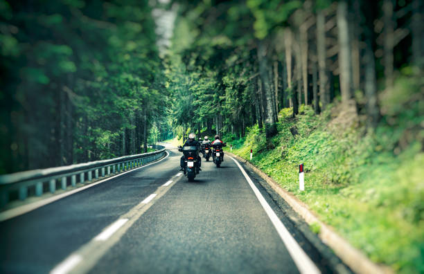 Group of a bikers on the highway Group of a bikers on the highway between beautiful green pine tree forest, motorcyclists traveling along mountains road, freedom and active lifestyle concept biker stock pictures, royalty-free photos & images