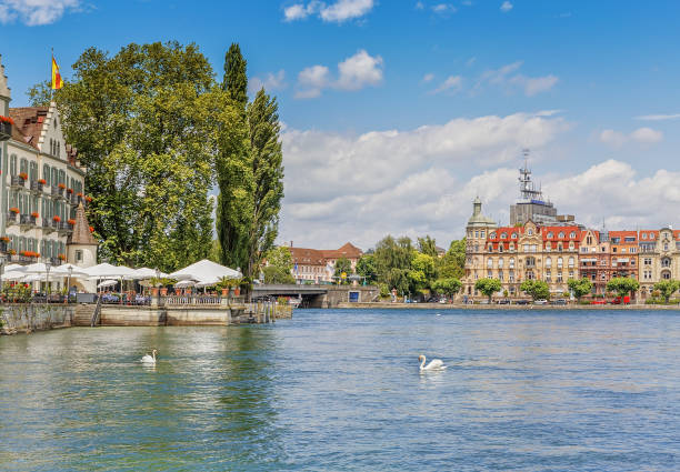 Swans on the Bodensee lake in the German city of Konstanze. Swans on the Bodensee lake in the German city of Konstanze. Germany bodensee stock pictures, royalty-free photos & images