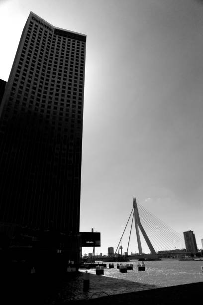 istock Corporate Buildings - Rotterdam 856902270