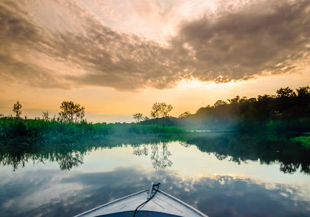 Boat on Amazon in Brazil View on boat on Amazon in Brazil amazonian big water lily stock pictures, royalty-free photos & images