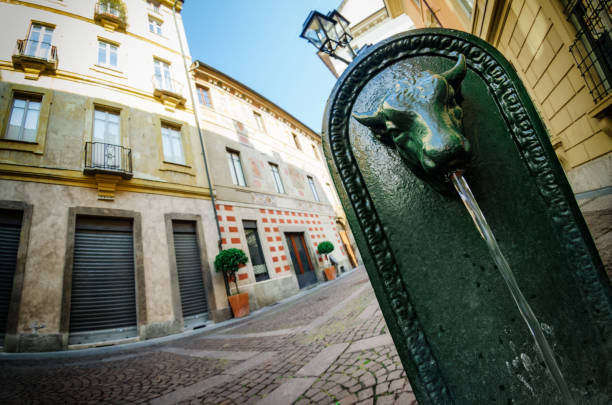 Toret, typical public fountain of Turin (Italy). Toret, typical public fountain of Turin (Italy). There are almost 800 "toret" in the city, all made of cast iron and with bull shape in late XIX century. flushing water stock pictures, royalty-free photos & images