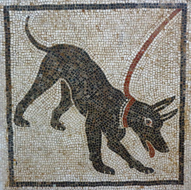 Cave Canem mosaic, Pompeii Cave Canem mosaic, Pompeii fresco photos stock pictures, royalty-free photos & images