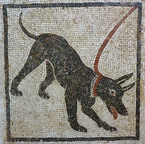 Cave Canem mosaic, Pompeii
