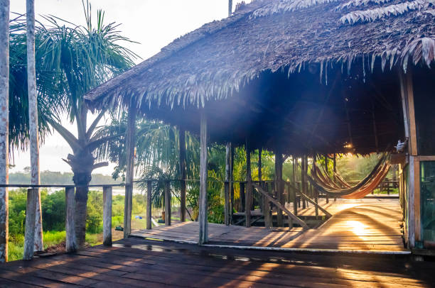 istock rain forest lodge by Amazon region in Brazil 856905750