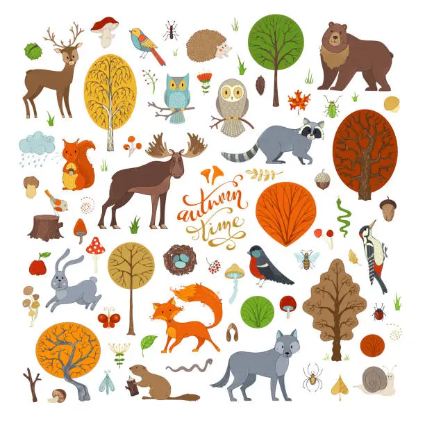 Vector illustration of Vector set of autumn forest trees and animals.
