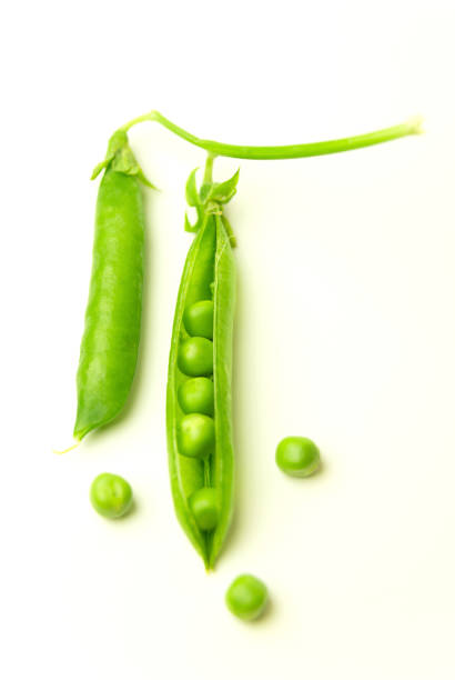 istock Pea pod and pea seeds on over white 856917334