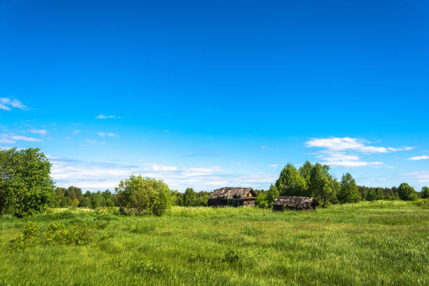 Landscape with a dead village Burdovo on a summer day, Kostroma oblast, Russia.