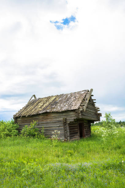 The crumbling barn in the defunct village Burdovo, Kostroma oblast, Russia.