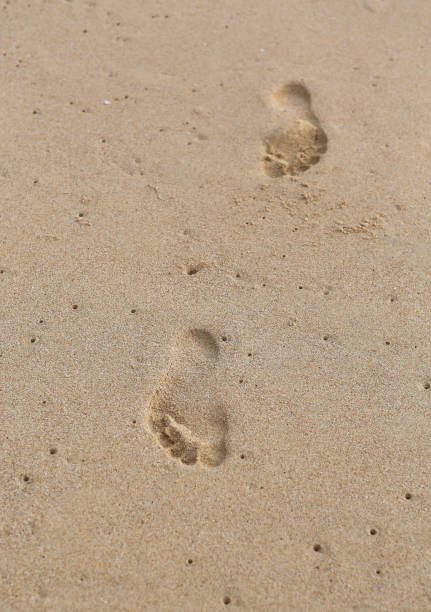 istock Close-up Footprints in the sand. 856923704