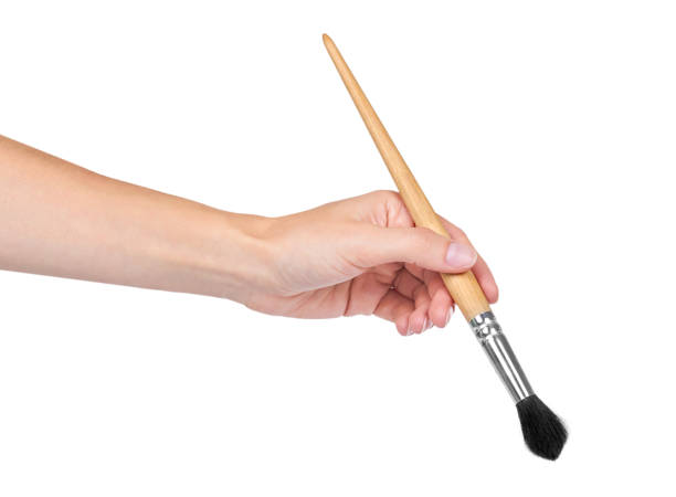 istock paint brush in hand isolated on white background 856923950