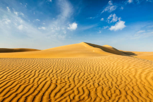 istock Dunes of Thar Desert, Rajasthan, India 856923992