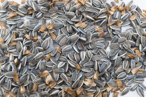 istock raw sunflower seeds close up 856928468