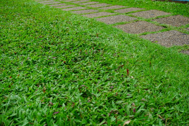 Detail in a garden landscape