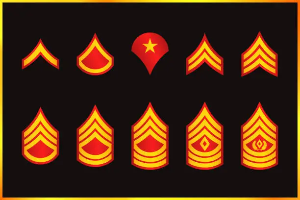 Vector illustration of Military Ranks Stripes and Chevrons. Vector Set Army Insignia