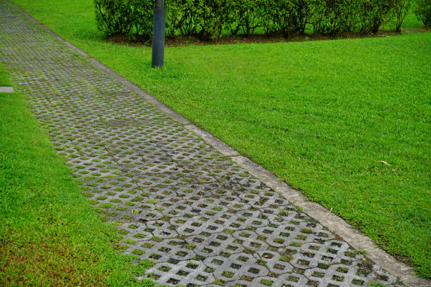 summer garden Front or Back Yard, Formal Garden, Flowerbed, Ornamental Garden, Public Park park leaf flower head saturated color stock pictures, royalty-free photos & images