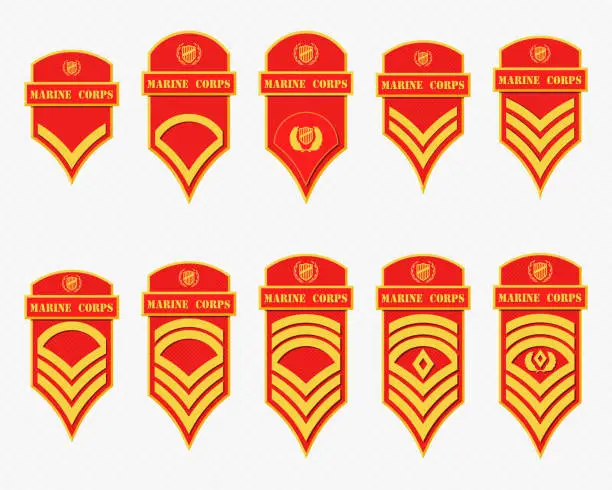 Vector illustration of Military Ranks Stripes and Chevrons. Vector Set Army Insignia