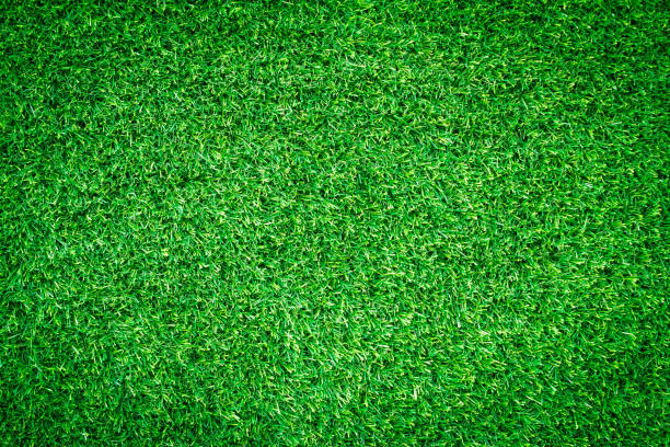 istock Artificial green grass texture for golf course. soccer field or sports background concept design. 856936618