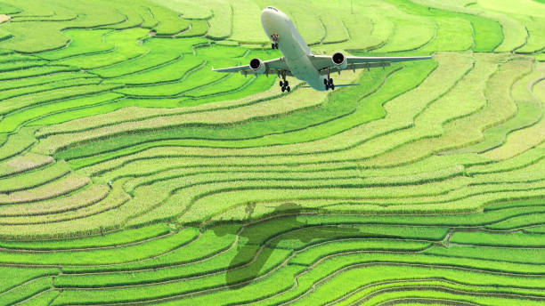 istock Shadow of airplane on green field 856943010