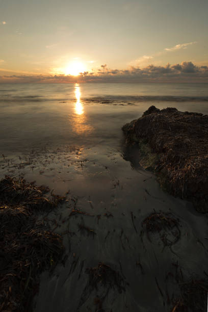 istock Sunrise on a beach in Santa Pola 856947090