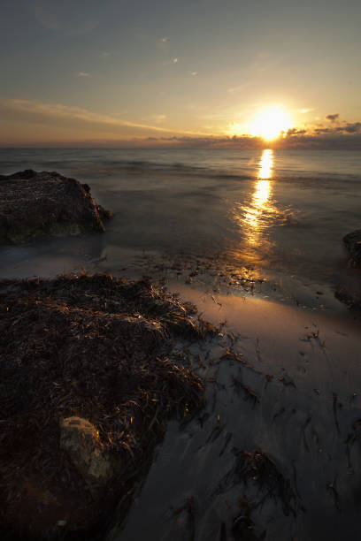 istock Sunrise on a beach in Santa Pola 856947156