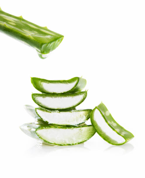 istock Close up of aloe vera 856952744
