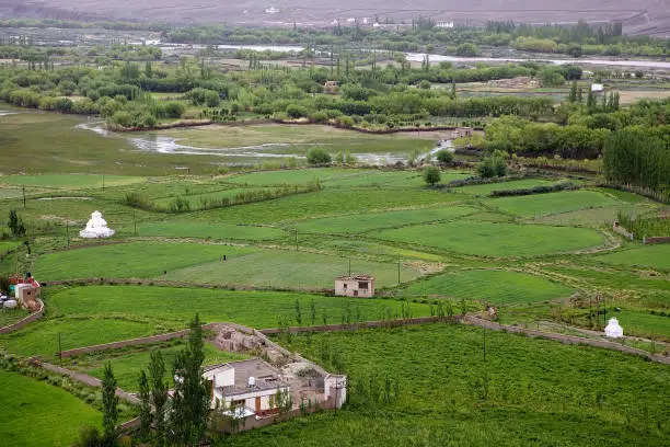 View of the fields from the Spituk Monastery in Ladakh, India.