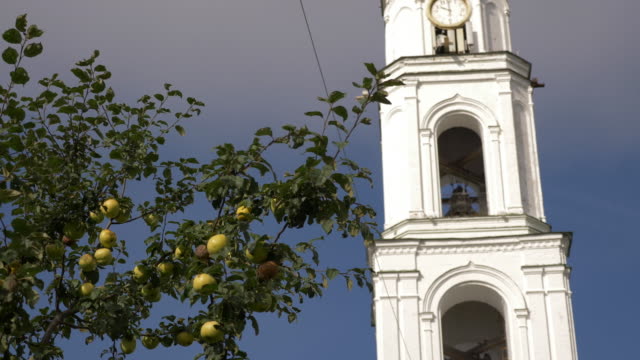 Apple tree in front of Raif monastery bell tower. Bell tower Church of Archangel Michael