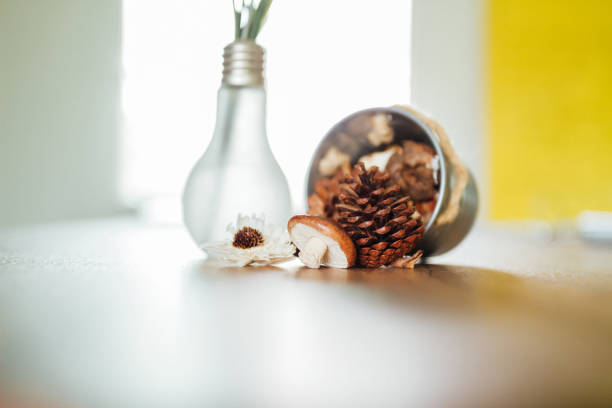 Dried flowers in a bucket And the flower vase looks like a light bulb.