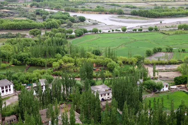 View from the Spituk Monastery in Ladakh, India.