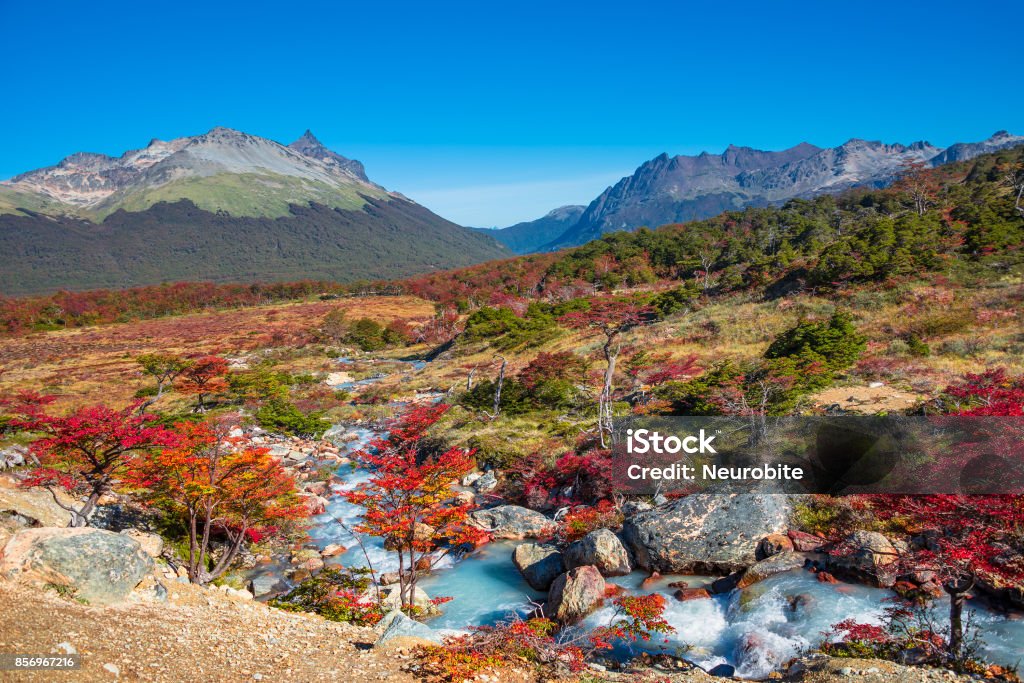 Gorgeous landscape of Patagonia's Tierra del Fuego National Park Gorgeous landscape of Patagonia's Tierra del Fuego National Park in Autumn, 2017 Tierra del Fuego Province - Argentina Stock Photo
