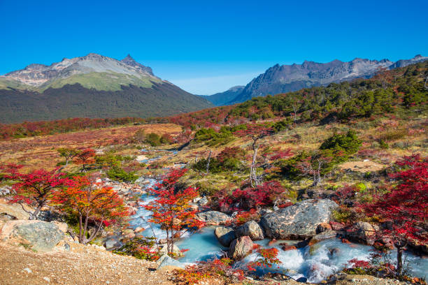 Gorgeous landscape of Patagonia's Tierra del Fuego National Park Gorgeous landscape of Patagonia's Tierra del Fuego National Park in Autumn, 2017 tierra del fuego archipelago stock pictures, royalty-free photos & images