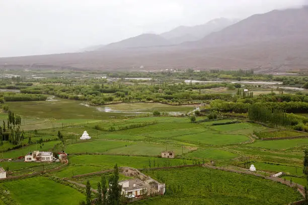 View of the fields from the Spituk Monastery in Ladakh, India.