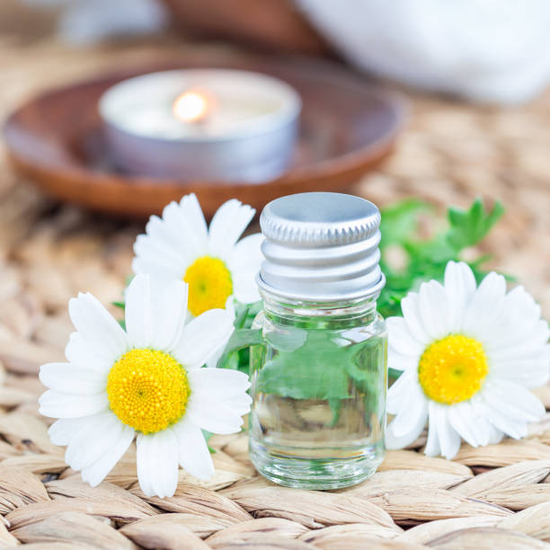 istock Chamomile essential oil in glass on woven mat with spa background, square format 856972834
