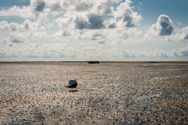 mud flat hiking at german north sea