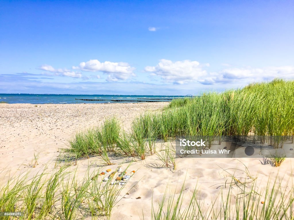 in the dunes, baltic sea, Heiligenhafen dunes, beach and baltic sea Baltic Sea Stock Photo in the dunes, baltic sea, Heiligenhafen dunes, beach and baltic sea Baltic Sea Stock Photo