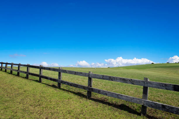 istock The fence in the meadow 856987938