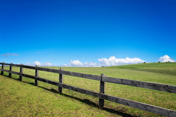 istock The fence in the meadow 856988584